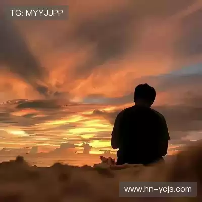 段俪剑